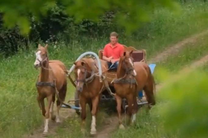 Родина з Вінниччини організовує туристичні поїздки верхи