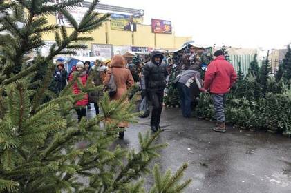 Де у Вінниці будуть ялинкові ринки 