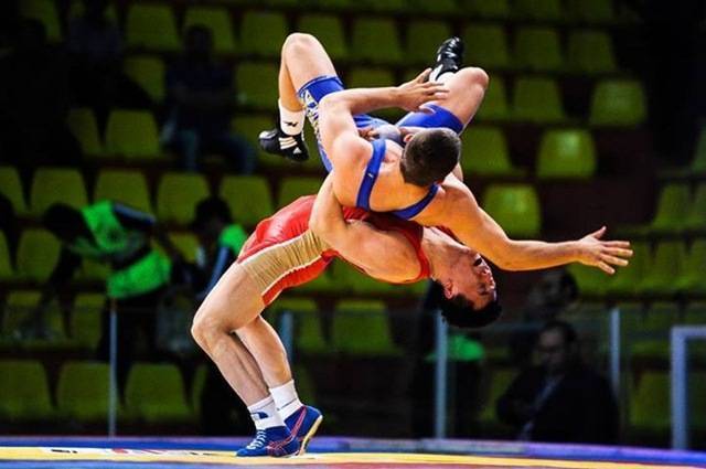 Вінницькі спортсмени стали призерами Чемпіонату України з греко-римської боротьби