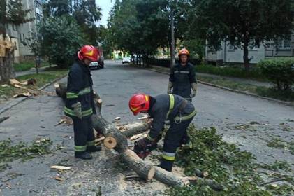 У Вінниці внаслідок негоди попадали дерева та в частині міста зник інтернет 

