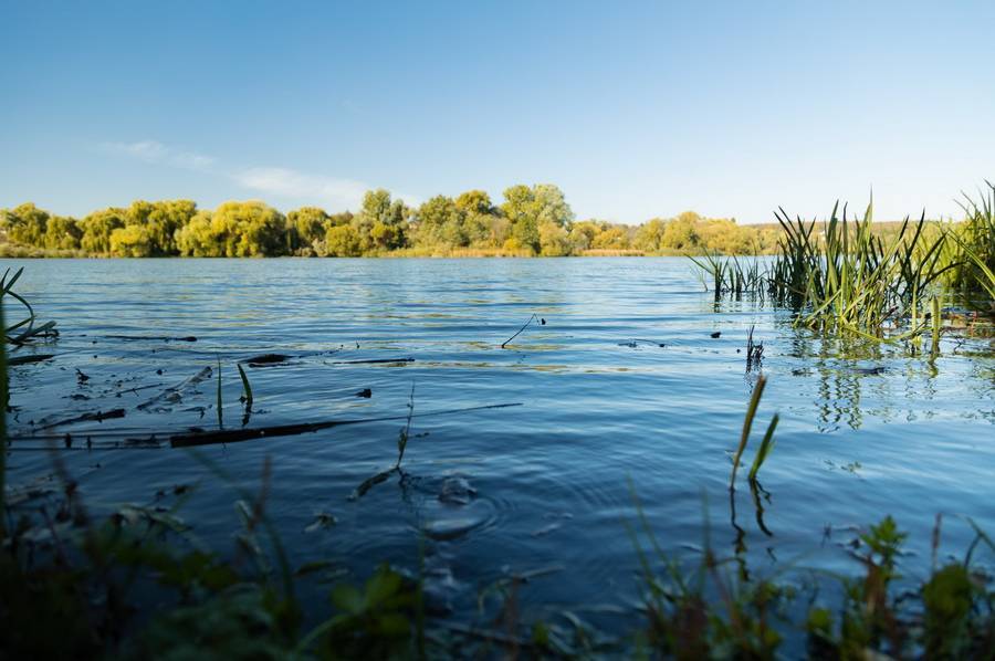 Відразу дві екскурсії проведуть по малих річках Вінниці 