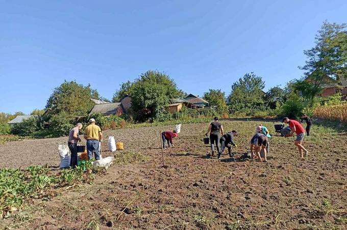 В селі на Вінниччині виростили більше тонни картоплі для ЗСУ 