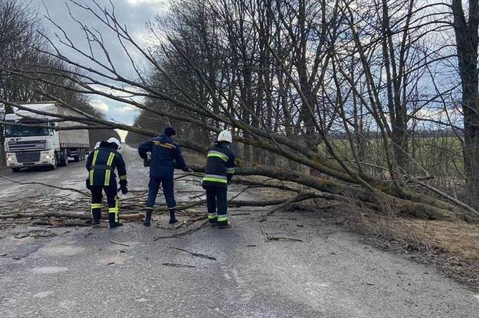 На Вінниччині рятувальники розчищають дороги від повалених дерев