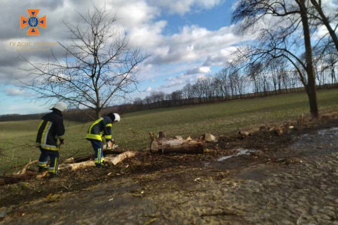 На Вінниччині продовжують розчищати дороги від повалених вітром дерев

