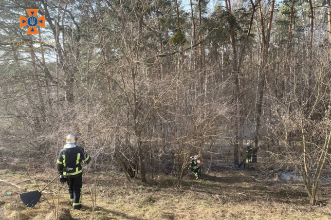 Вчора на Вінниччині згоріло більше 18 гектарів сухої трави