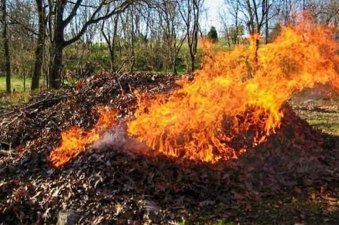 У Вінниці здійснюватимуть рейди проти спалювання листя