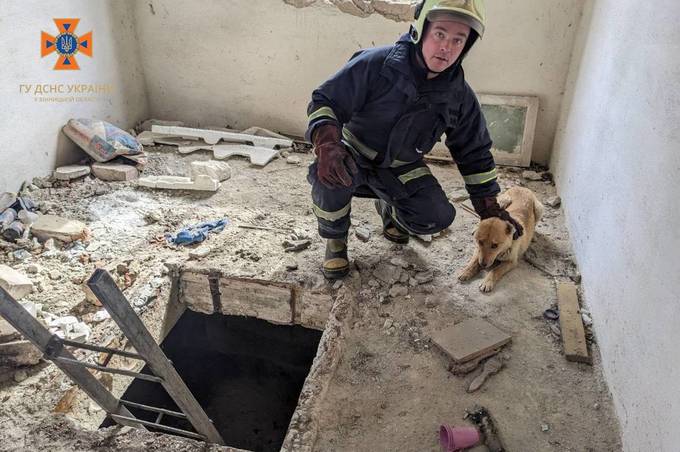 На Вінниччині викликали рятувальників, щоб дістати з погреба собаку