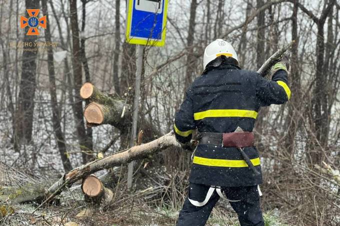 Рятувальники Вінниччини звільнили шлях поблизу села Петрик