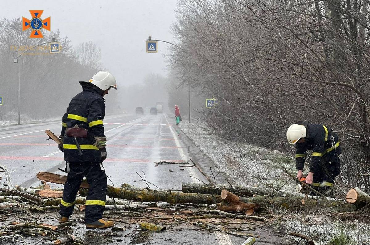 На Вінниччині вирує негода: обленерго попереджає про обриви дротів, рятувальники звільняють дороги