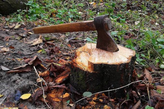 За моторошне вбивство на Вінниччині до 10 років ув’язнення засудили чоловіка