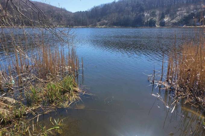 У Вінниці дослідили проби води з Південного Бугу: результати перевірки