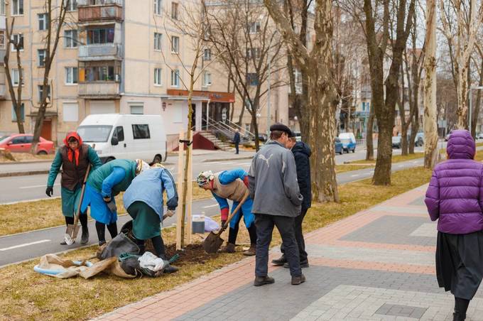 У Вінницькому центральному парку розпочалась весняна висадка дерев