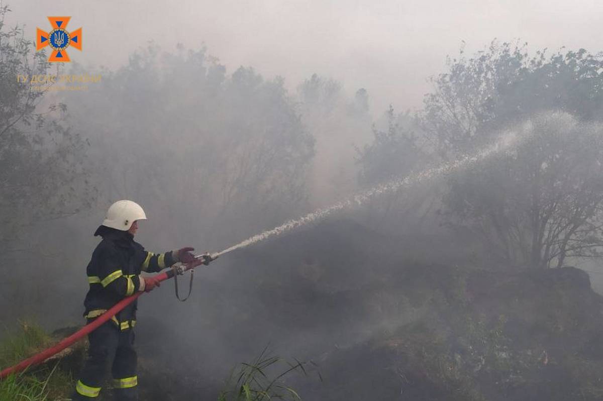 За минулу добу на Вінниччині вигоріло більше 8 гектарів сухої рослинності