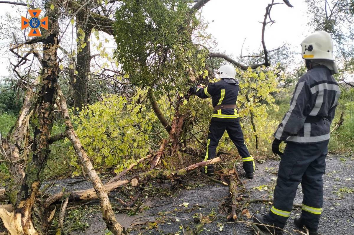 Рятувальники Вінниччини оперативно ліквідували наслідки негоди