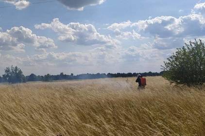 Людська недбалість призвела до займання посівів пшениці на Вінниччині