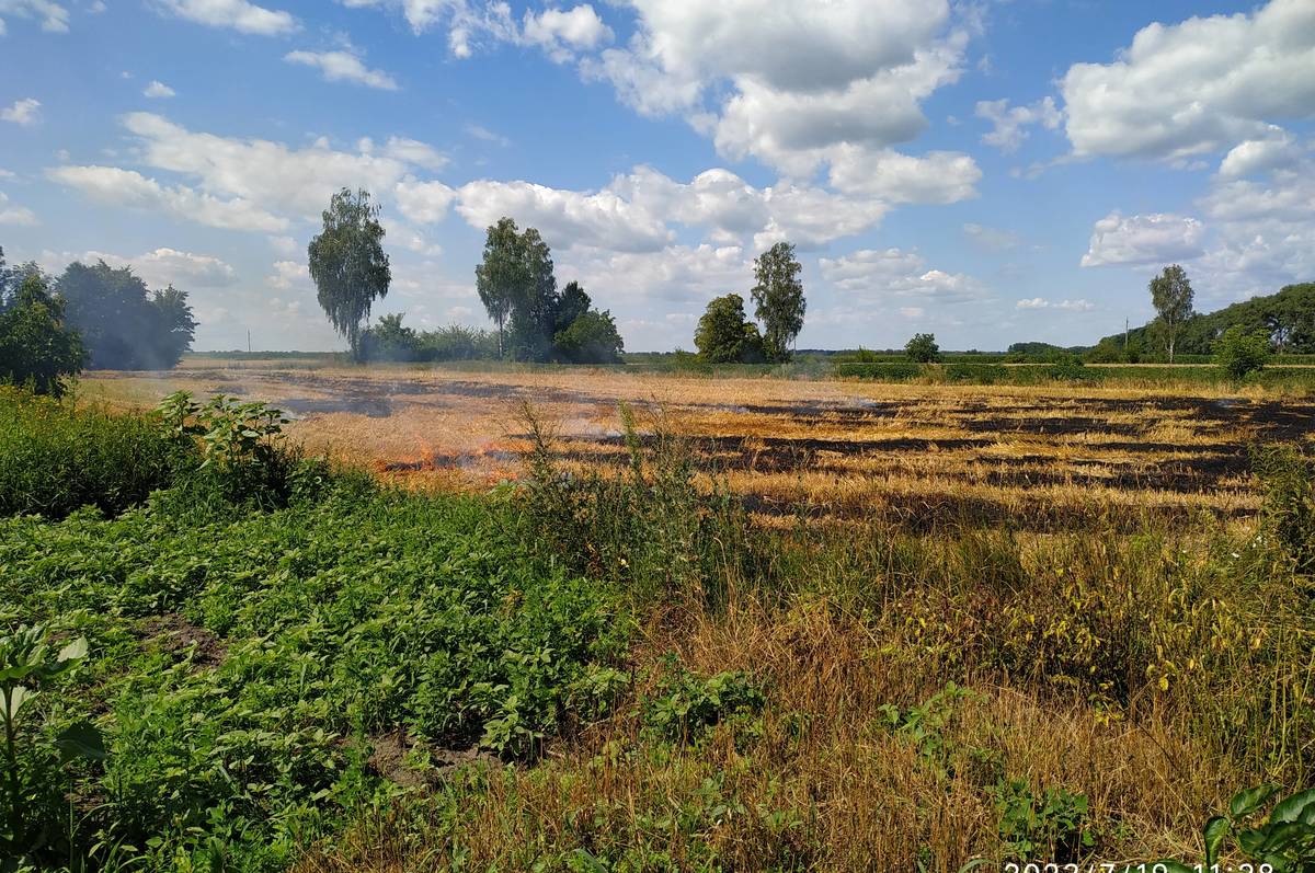 Вінничан попереджають про надзвичайний рівень пожежної небезпеки у області 