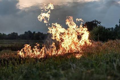 Якщо ви спалюєте суху траву, будьте готові заплатити штраф Якщо ви спалюєте суху траву, будьте готові заплатити штраф