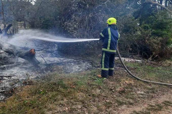 Пожежі у природних екосистемах не вщухають. На Вінниччині вигоріло ще 7 гектарів родючого ґрунту