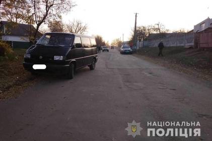 В Теплицькому районі дівчинка потрапила під колеса авто