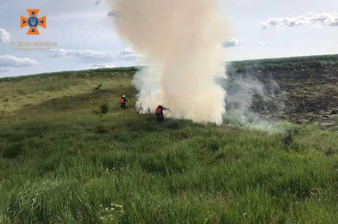 Вогнем обпалено понад 4 га ґрунту: минулої доби вінницькі рятувальники погасили 7 пожеж