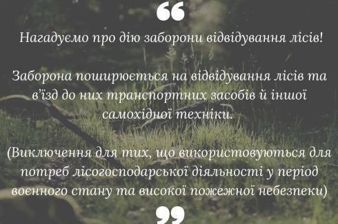 Вінничанам нагадують про дію заборони відвідування лісів!