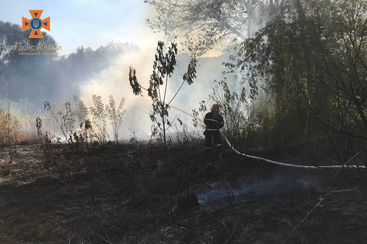 Обпалено 20 га ґрунту, жінка отримала термічні опіки: у Вінницькій області  за минулу добу рятувальники ліквідували 21 пожежу 