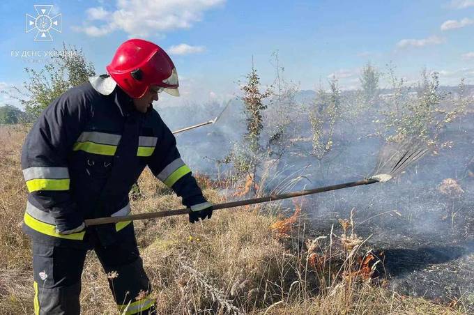 Вогнем обпалено понад 8 га ґрунту: минулої доби рятувальники погасили 15 пожеж