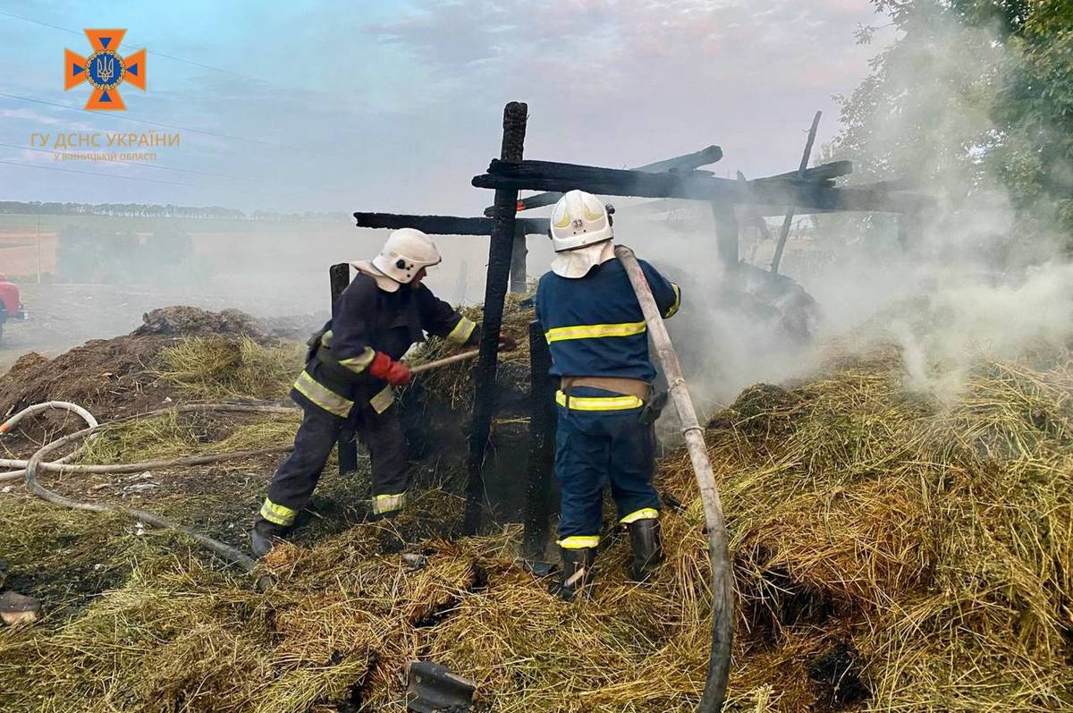 Вогонь знищив понад 12 га ґрунту: за суботу вінницькі надзвичайники погасили 44 пожежі