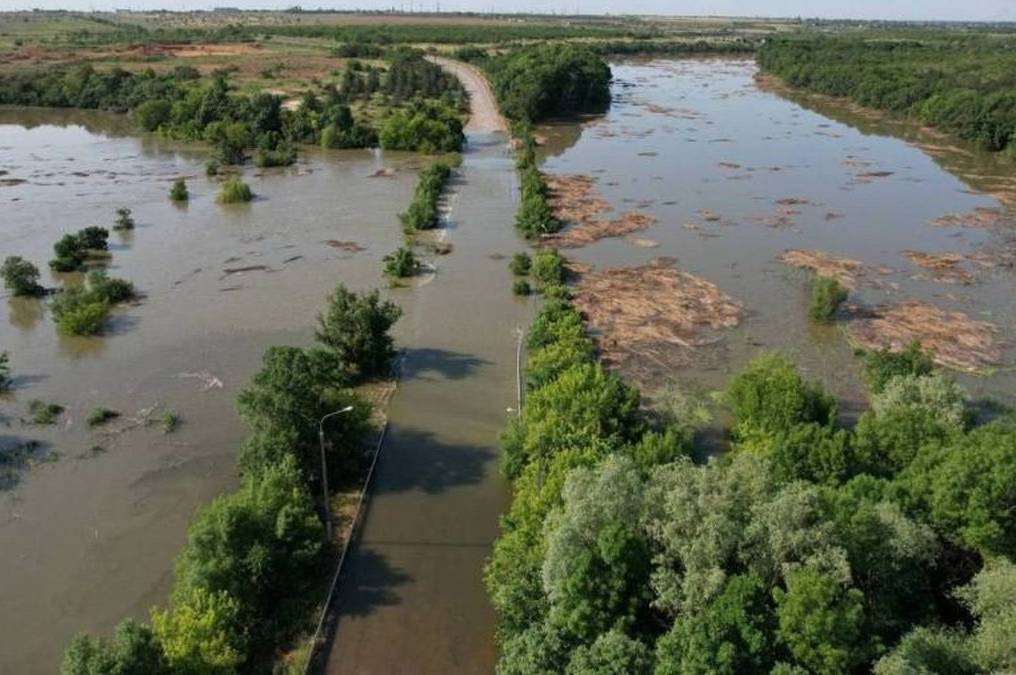 Жахаюча статистика: один день війни завдає довкіллю України шкоди на 102 млн євро