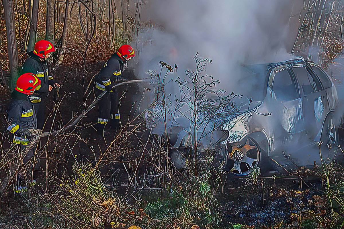 Поблизу Вінниці рятувальники ліквідували наслідки ДТП: що відомо