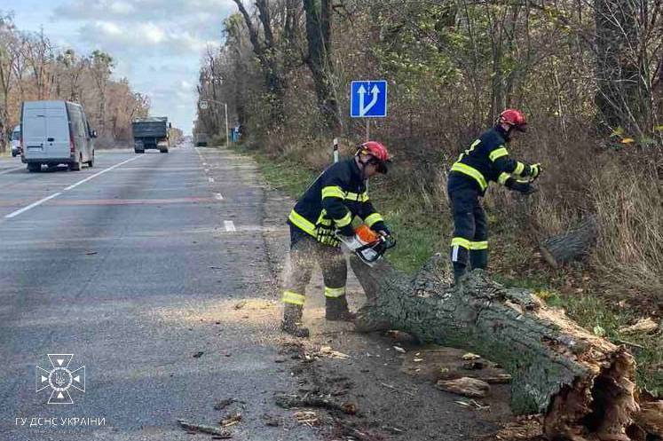 На Вінниччині рятувальники прибрали з автошляху повалене дерево