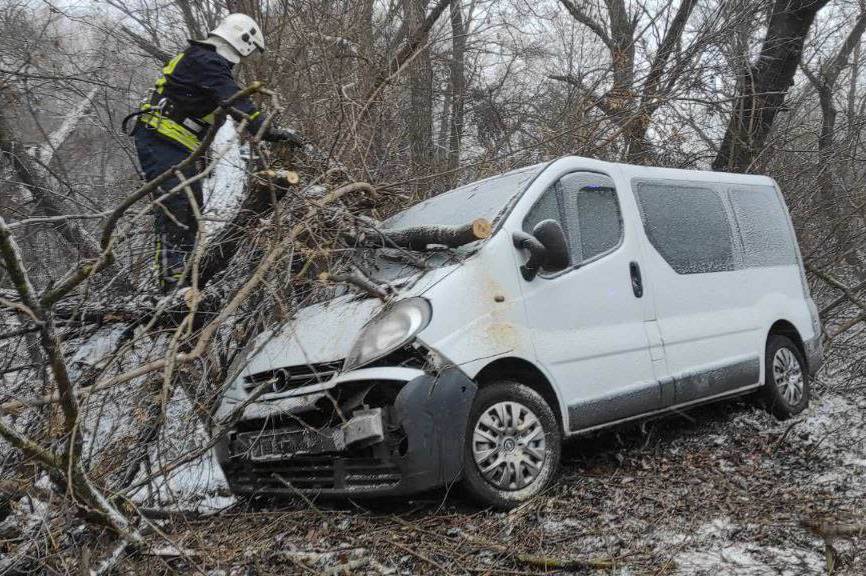 На Вінниччині водій з’їхав у кювет та зіткнувся з деревом