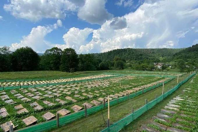 Донька загиблого захисника отримала грант на розвиток ферми