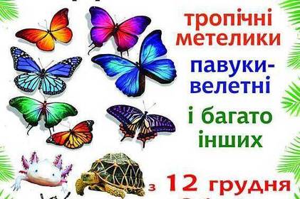 Наступного тижня у Вінниці відкриється виставка екзотичних тварин