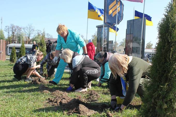 У Вінниці висадили особливі троянди на Алеї Героїв Сабарівського кладовища