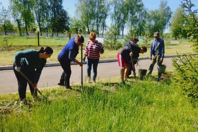 У 23 громадах Вінниччини висаджують трояндові Алеї Слави на честь полеглих Захисників

