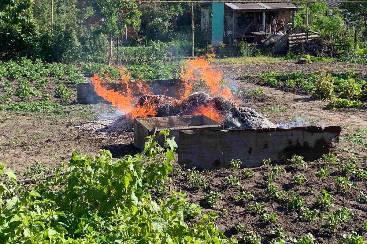 У Вінниці порушник вчинив підпал на городі, але попався: як його покарають