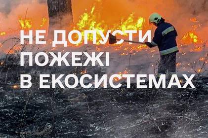 Протягом минулої доби, 26 травня, надзвичайники Вінниччини ліквідували 12 пожеж: подробиці