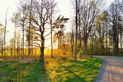 Що потрібно знати про сьогоднішній день: свята, народні прикмети та традиції