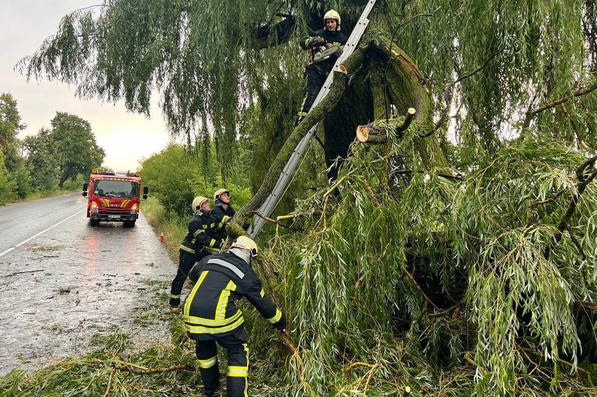 На Вінниччині вирувала негода: рятувальники розчищали дороги від повалених дерев