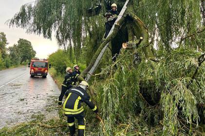 На Вінниччині вирувала негода: рятувальники розчищали дороги від повалених дерев