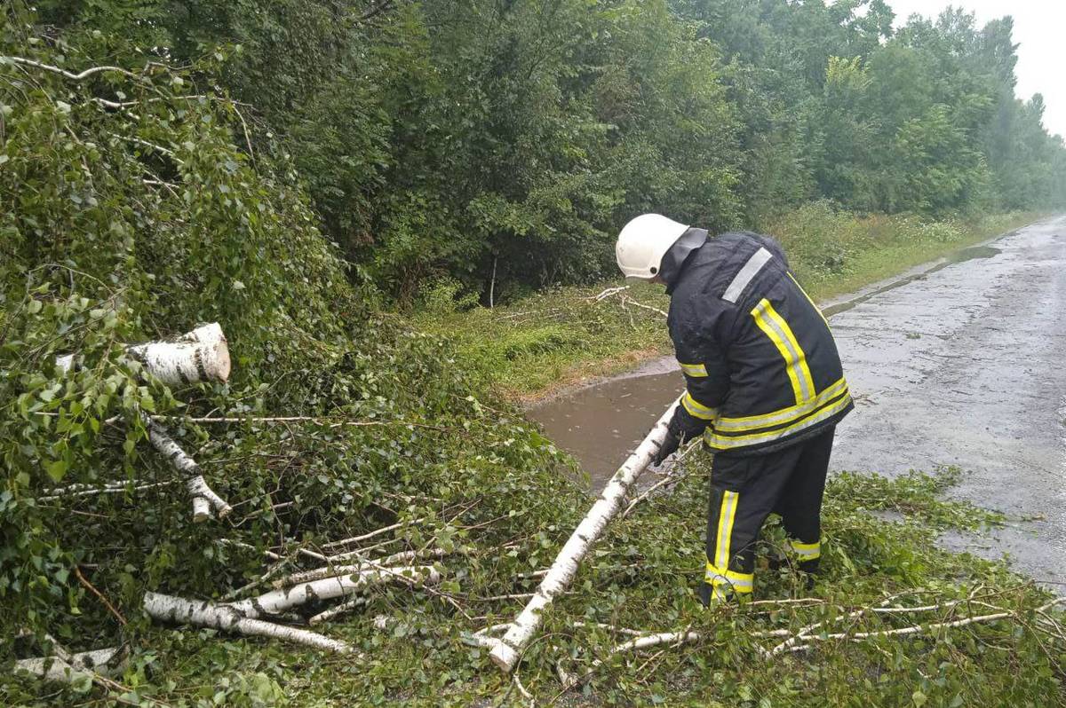 На Вінниччині негода повалила дерева: подробиці