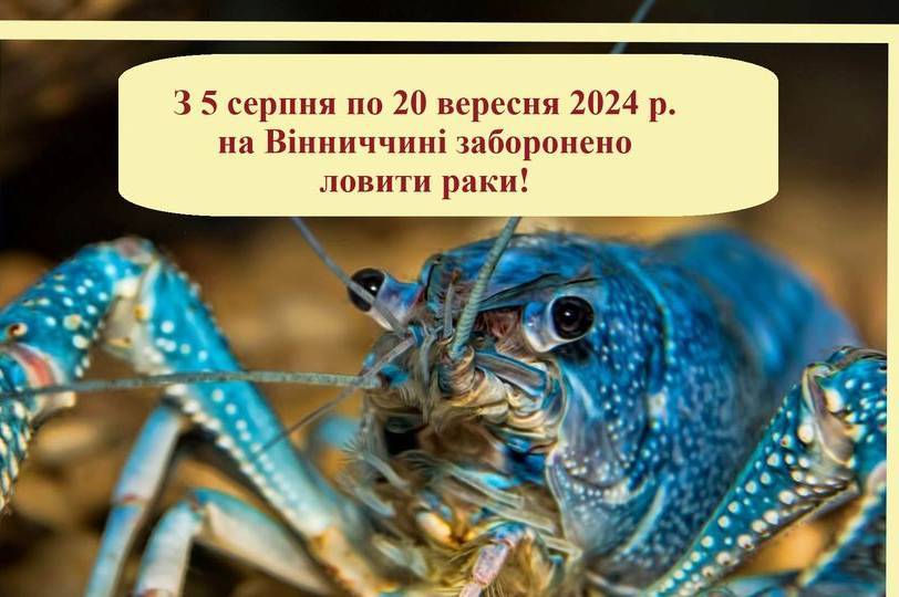 На Вінниччині діятиме заборона на лов раків: що слід знати