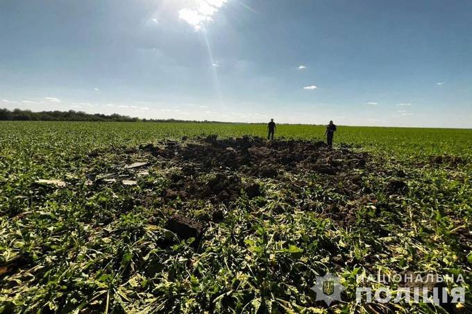 На Вінниччині уламки збитих дронів пошкодили посіви соняшника (фото)