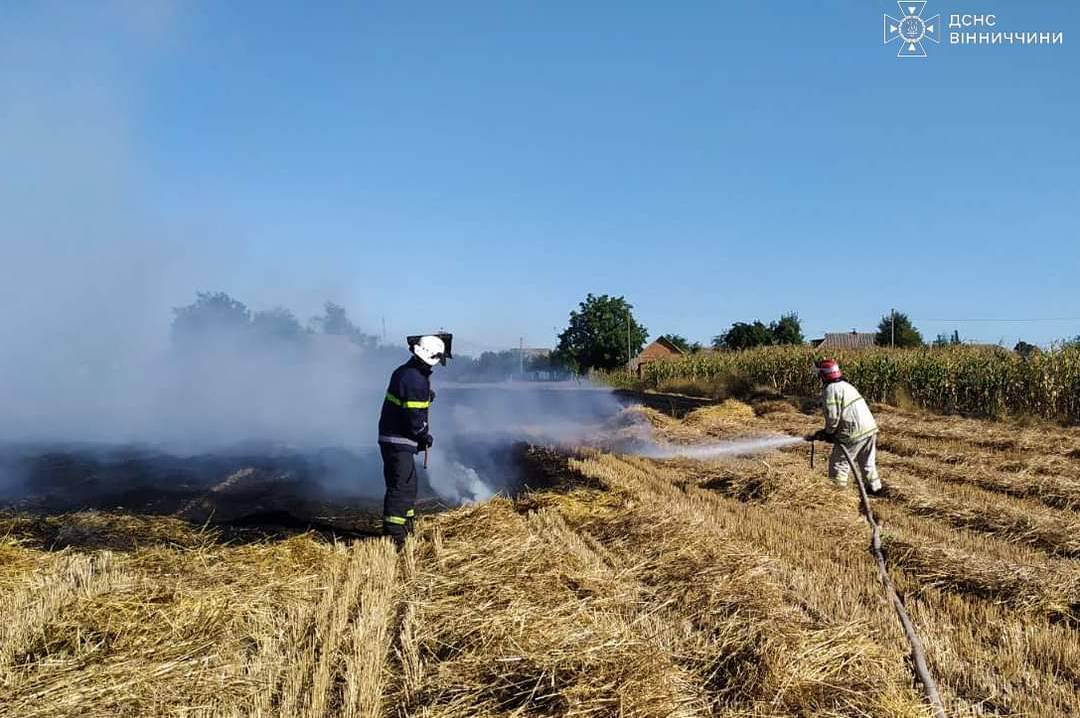 Горіли суха трава, господарчі будівлі та житловий будинок: на Вінниччини за день сталося 17 пожеж