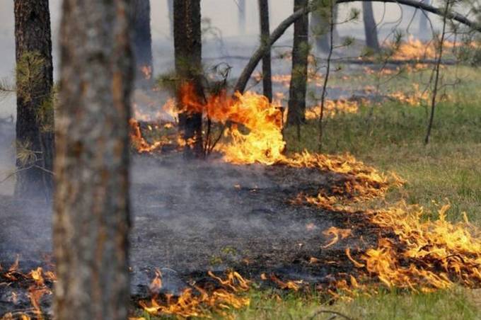 На Вінниччині фіксують надзвичаний рівень пожежної небезпеки 