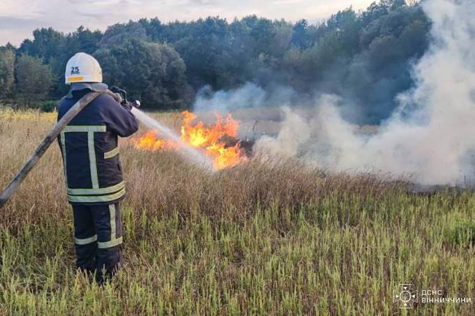 На Вінниччині сталася пожежа на площі майже 3 гектари: подробиці