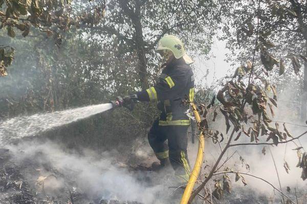 Горіло в усіх районах області та у Вінниці: скільки пожеж за добу ліквідували рятувальники