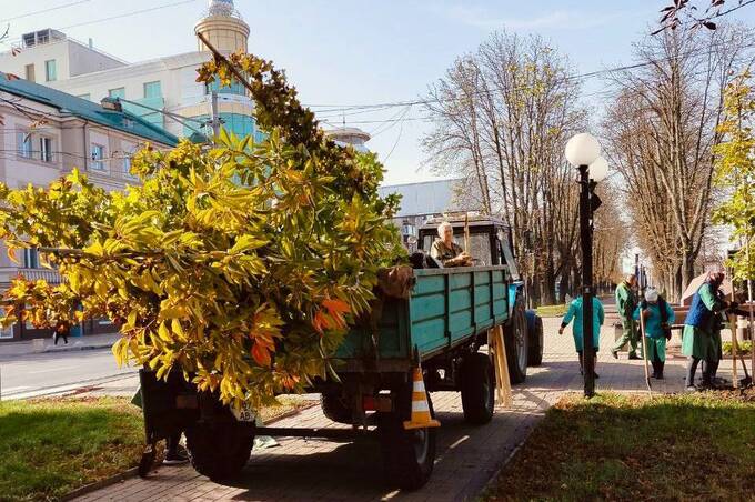 У Вінниці висадять понад 200 нових дерев: осіння кампанія з озеленення вже стартувала