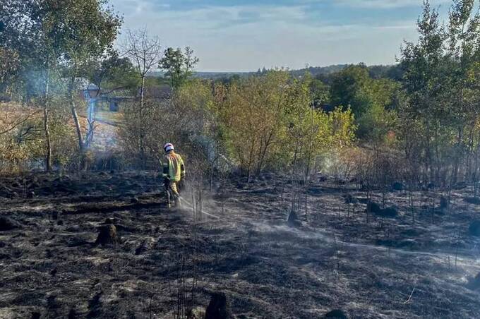 На Вінниччині минулої доби спалахнуло 13 пожеж: що горіло